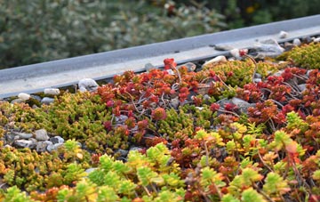 the cost of Cheddon Fitzpaine green roof installation